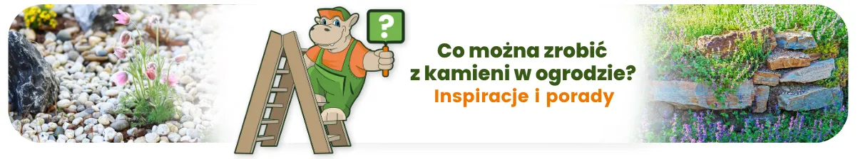 Co można zrobić z kamieni w ogrodzie? Inspiracje i porady